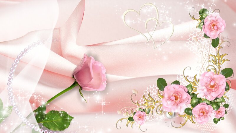 Pink Roses on Fabric — Romantic