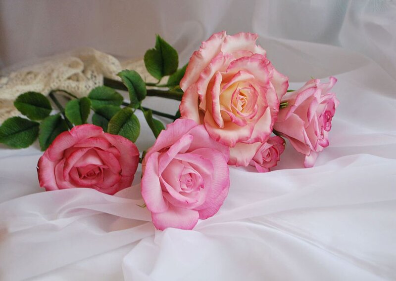 Pink Roses on Fabric — Serene, Photograph