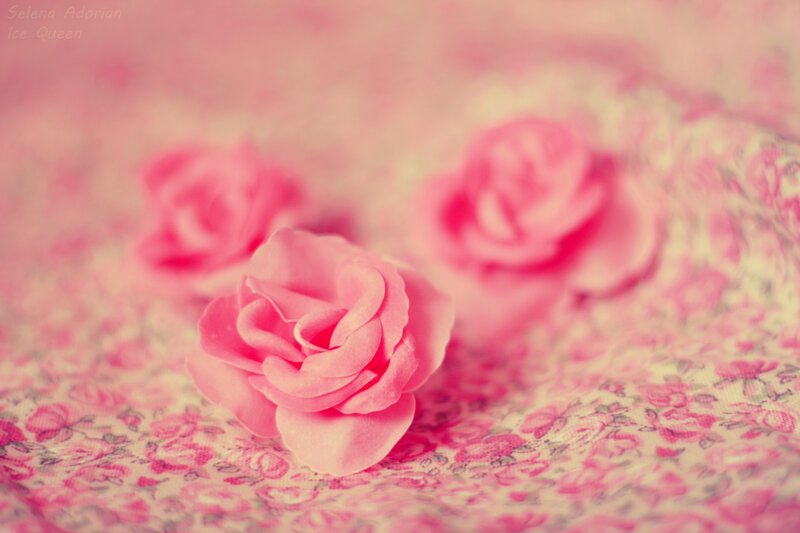 Pink Roses on Fabric — Soft