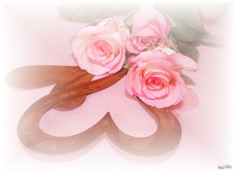 Pink Roses on Heart