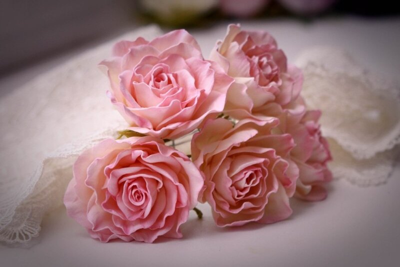 Pink Roses on Lace — Calm