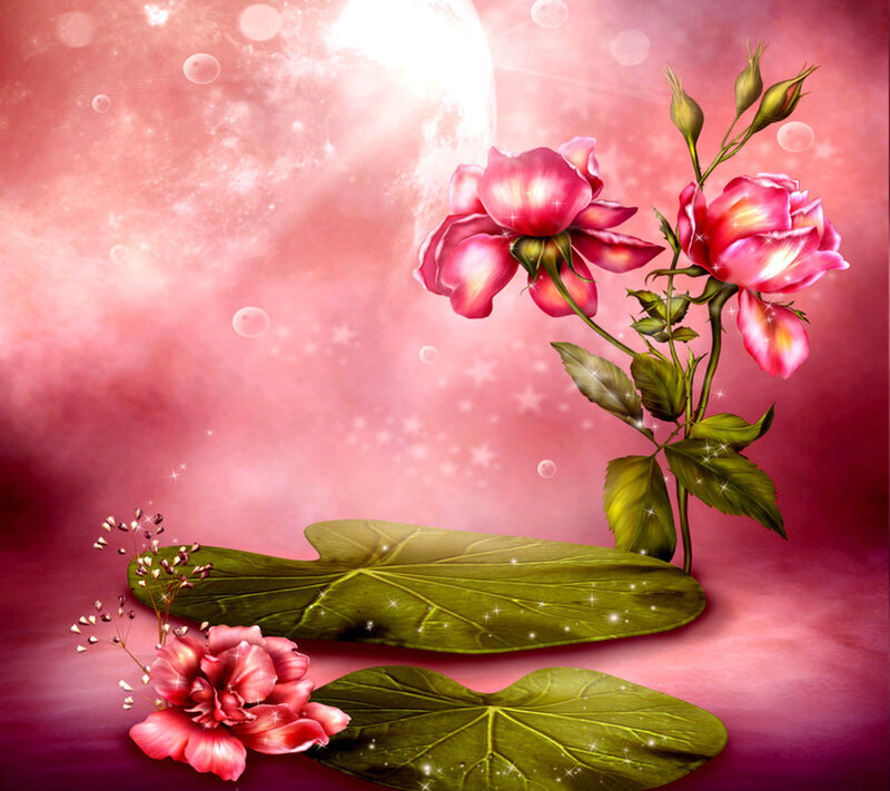 Pink Roses on Leaves — Dreamy