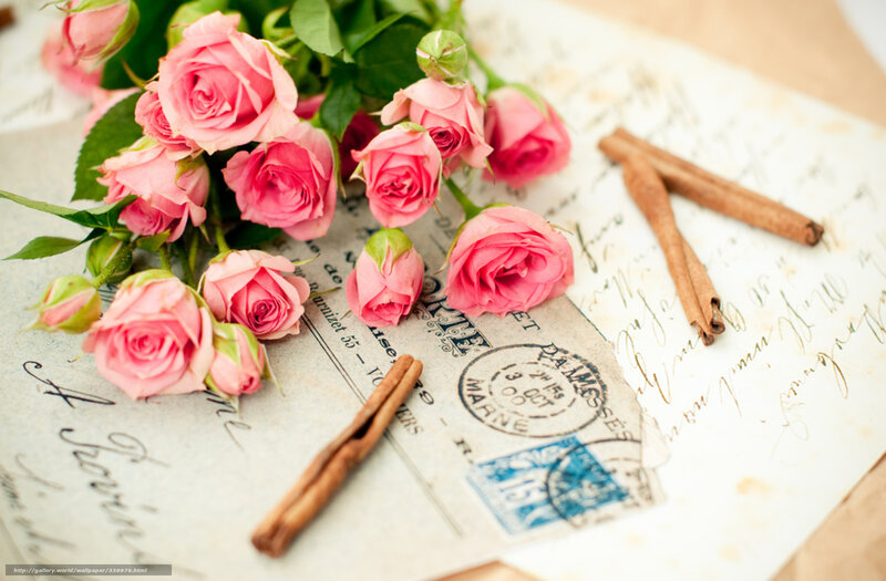 Pink Roses on Letter — Romantic