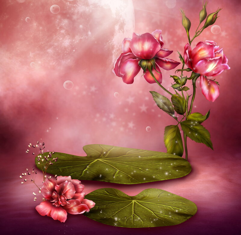 Pink Roses on Lily Pads