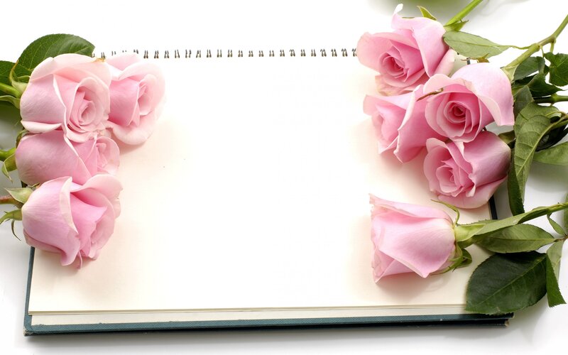 Pink Roses on Notebook — Calm