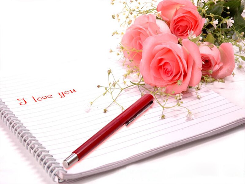Pink Roses on Notebook