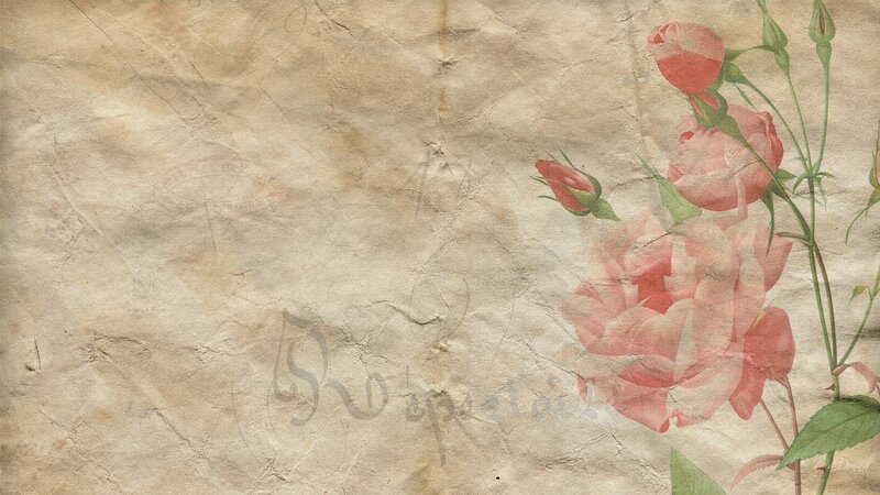 Pink Roses on Old Paper