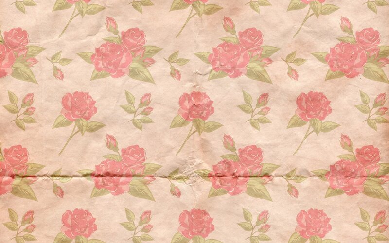 Pink Roses on Paper — Calm, Illustration
