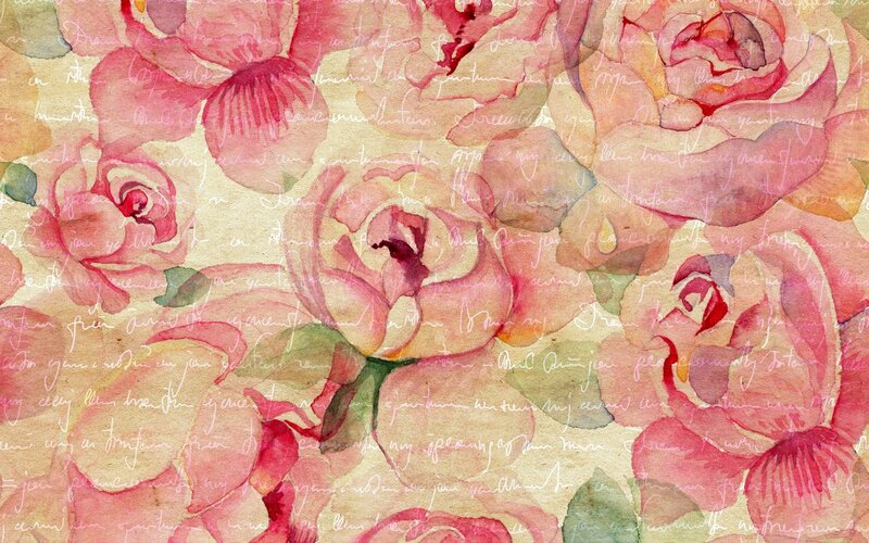 Pink Roses on Paper — Calm