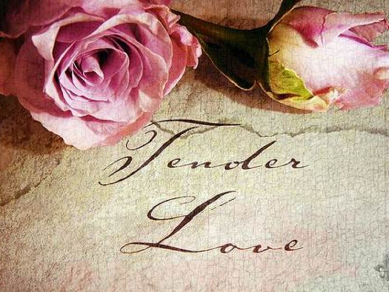 Pink Roses on Paper — Romantic
