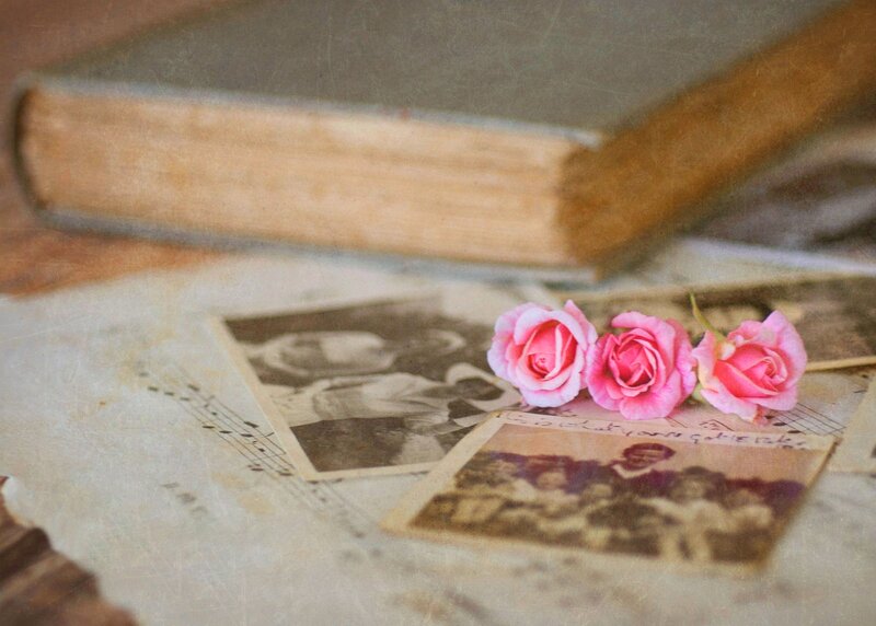 Pink Roses on Photos