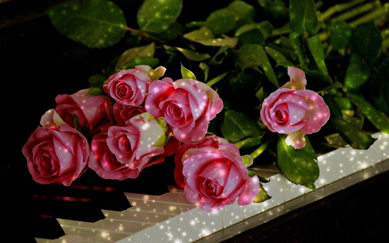 Pink Roses on Piano — Dramatic