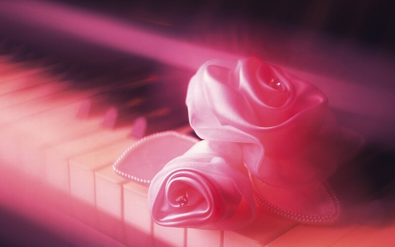 Pink roses on piano keys