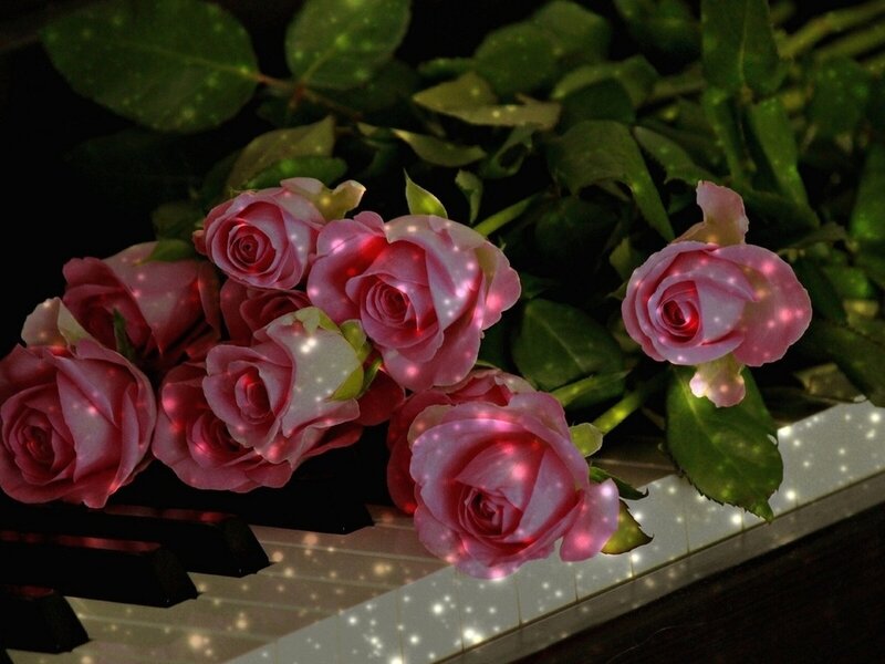 Pink Roses on Piano — Romantic, Night