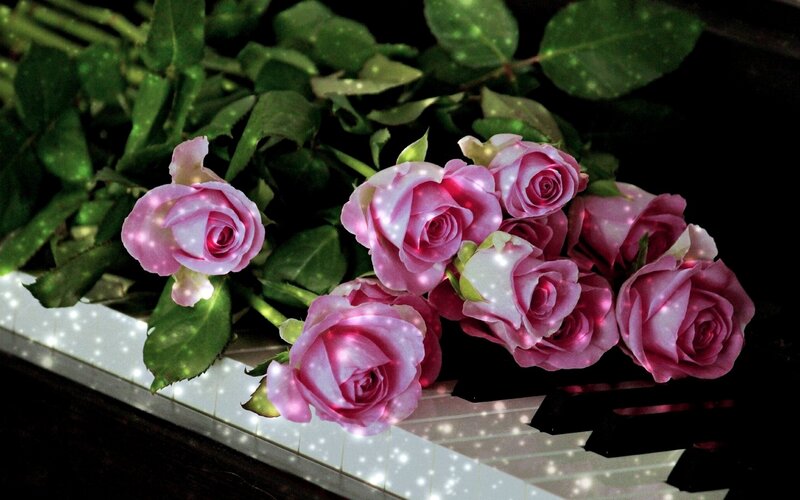 Pink Roses on Piano — Romantic