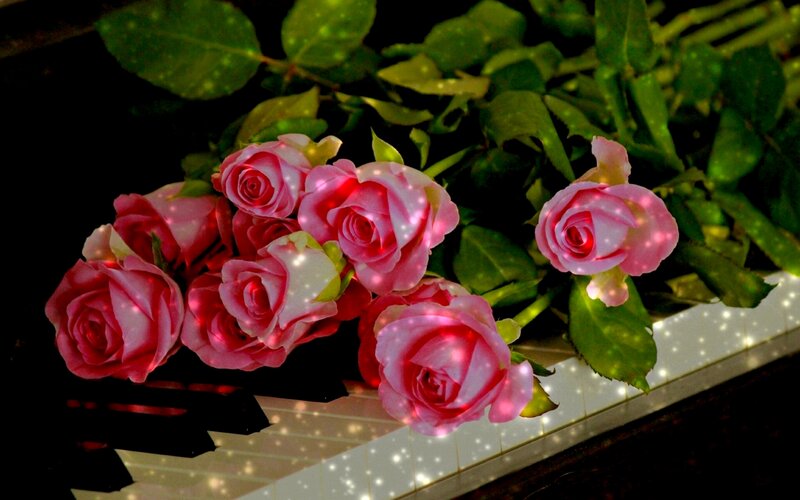 Pink Roses on Piano