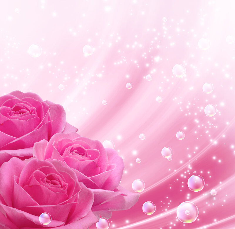 Pink Roses on Pink Background — Dreamy
