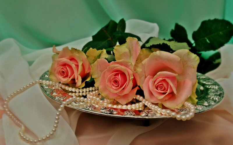 Pink Roses on Platter