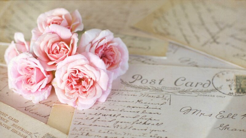 Pink Roses on Postcards — Nostalgic, Photograph
