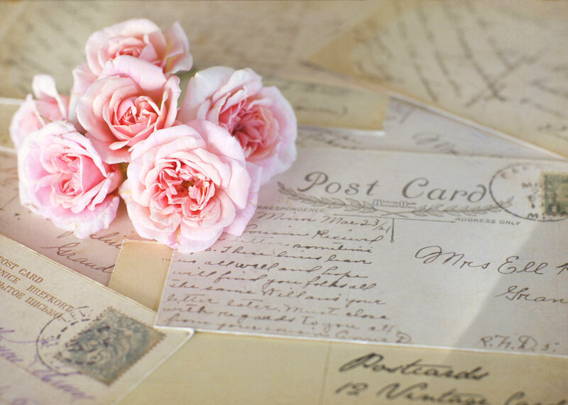 Pink Roses on Postcards — Nostalgic