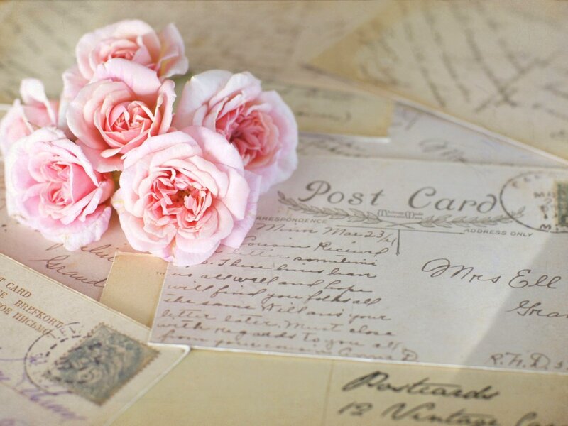 Pink Roses on Postcards