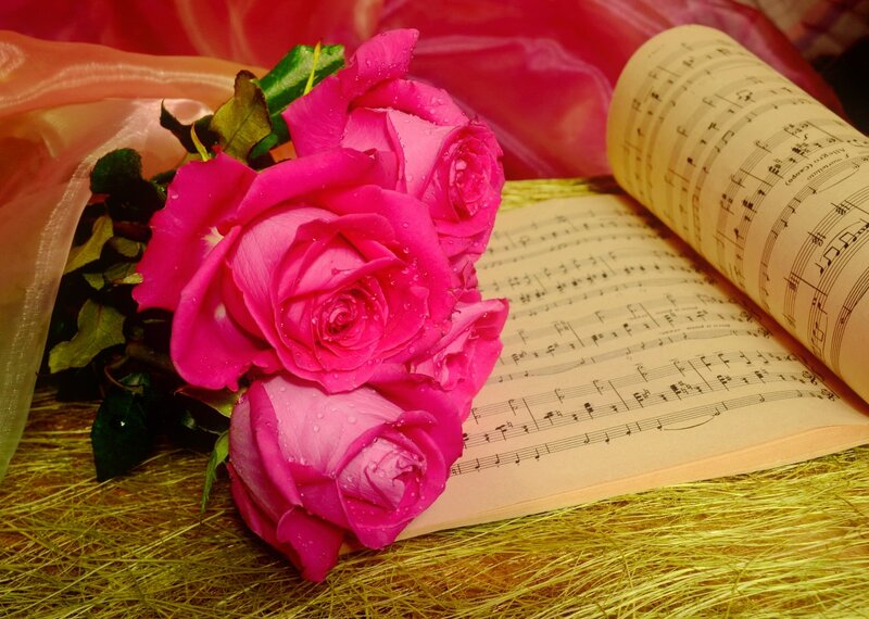 Pink Roses on Sheet Music — Romantic, Photograph, Sheet Music