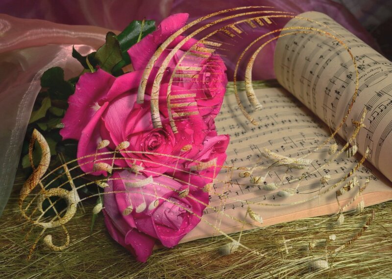 Pink Roses on Sheet Music — Romantic, Photograph
