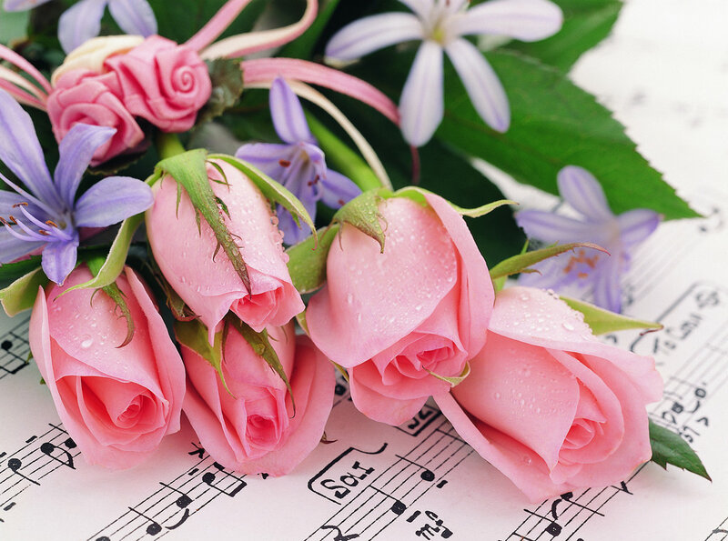 Pink Roses on Sheet Music