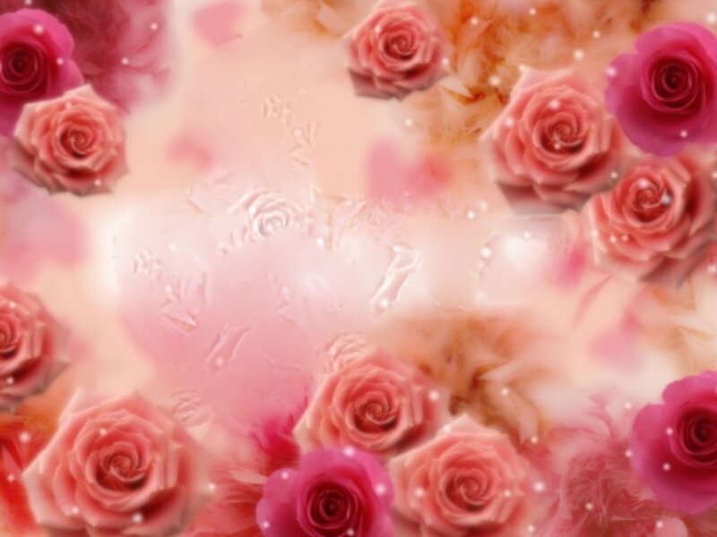 Pink Roses on Soft Background — Romantic
