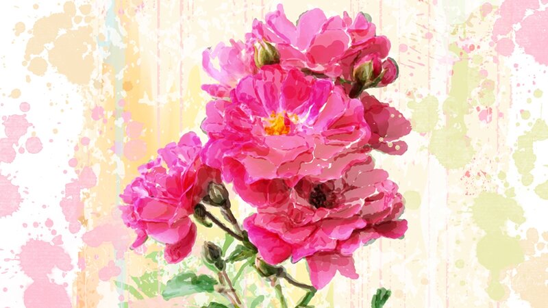 Pink Roses on Splattered Background