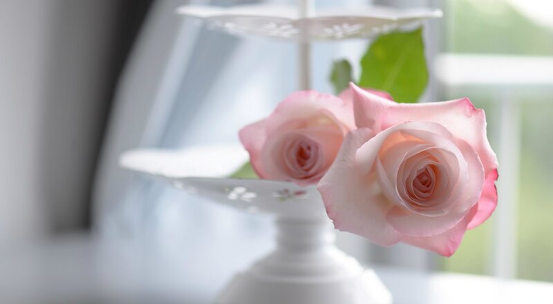 Pink Roses on Stand — Serene
