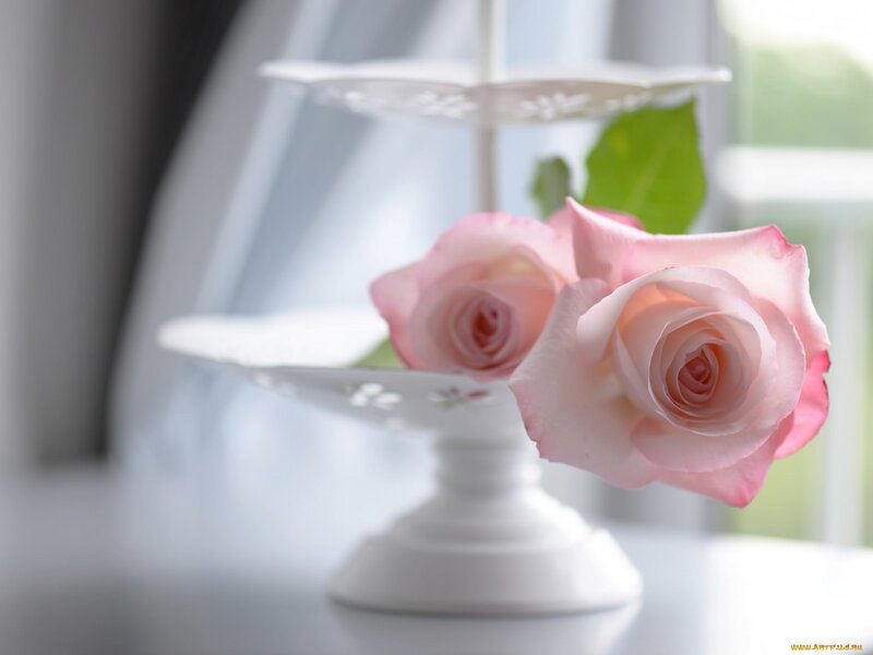 Pink Roses on Stand