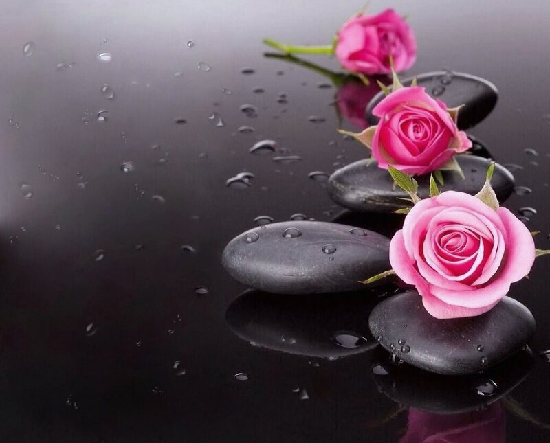 Pink Roses on Stones — Black, Serene