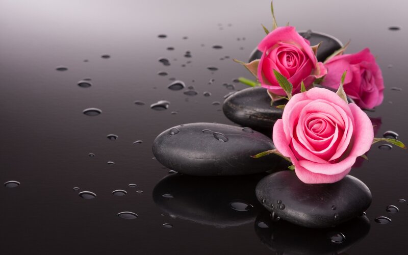 Pink Roses on Stones — Black