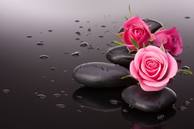 Pink Roses on Stones