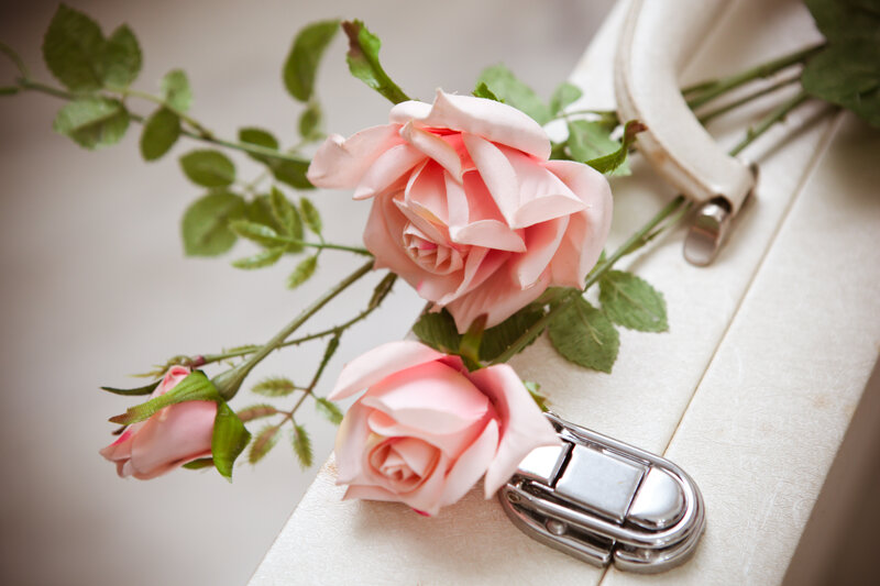 Pink Roses on Suitcase — Serene, Photograph
