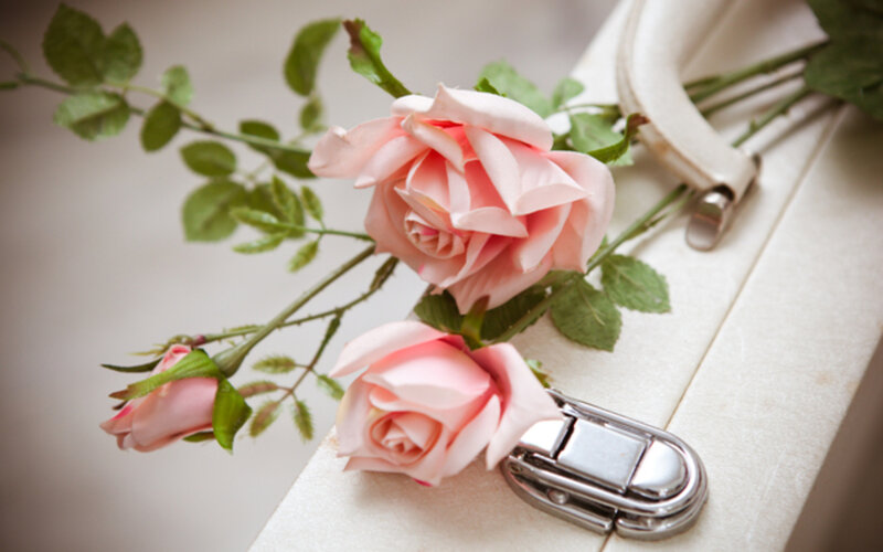 Pink Roses on Suitcase
