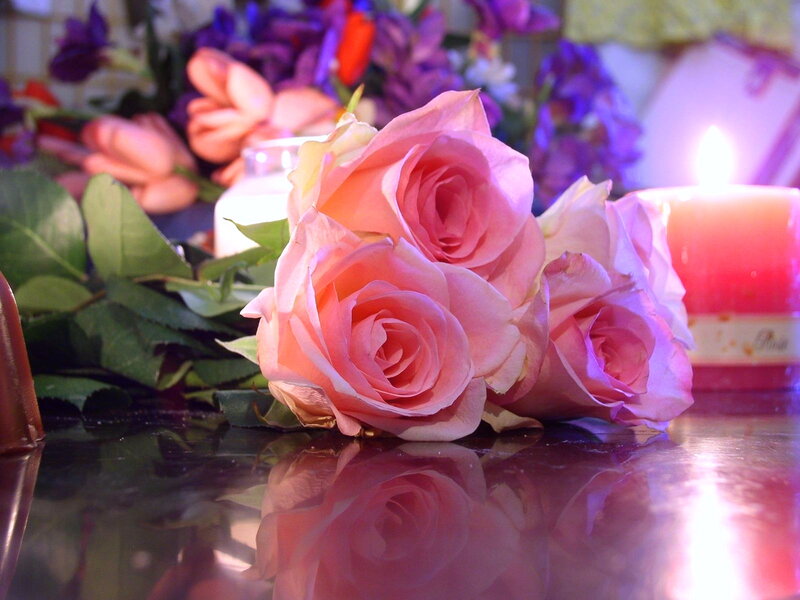 Pink Roses on Table — Calm, Night, Photograph