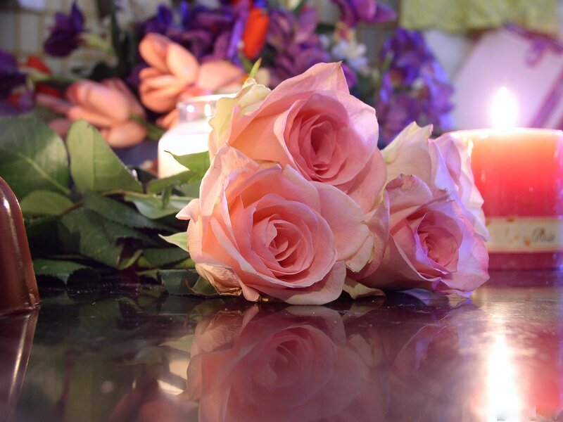 Pink Roses on Table — Calm, Night