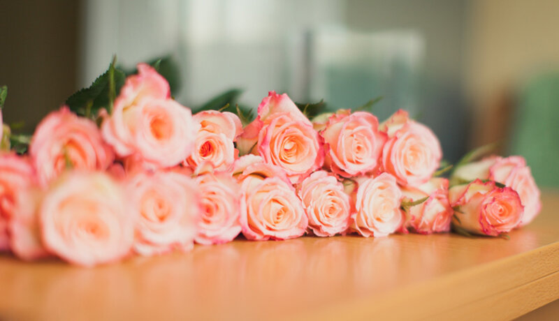 Pink Roses on Table — Calm, Photograph, Flowers