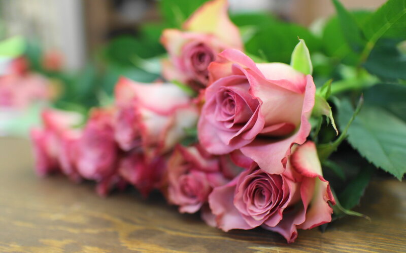 Pink Roses on Table — Calm, Photograph, Green Leaves