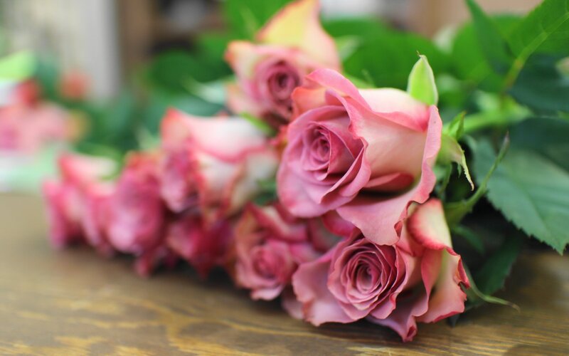 Pink Roses on Table — Calm, Photograph, Green Leaves, Wooden Surface