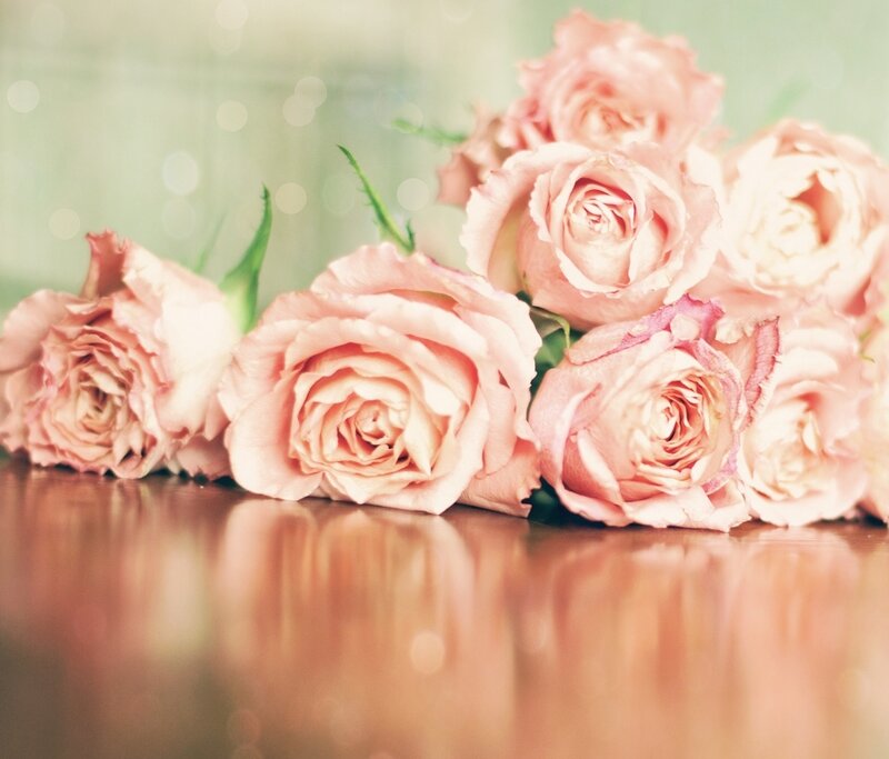 Pink Roses on Table — Calm