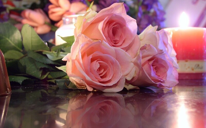 Pink Roses on Table — Romantic, Night