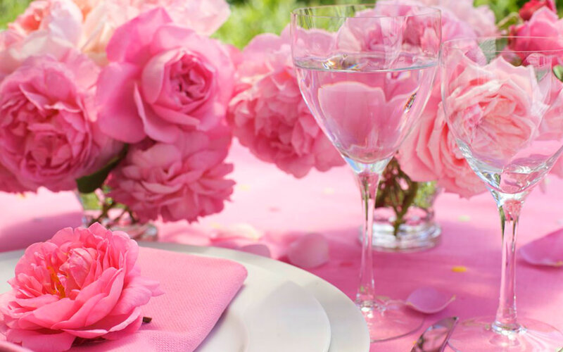 Pink Roses on Table — Serene, Afternoon