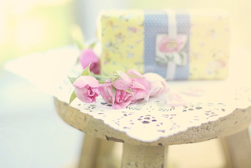 Pink Roses on Table — Serene, Morning