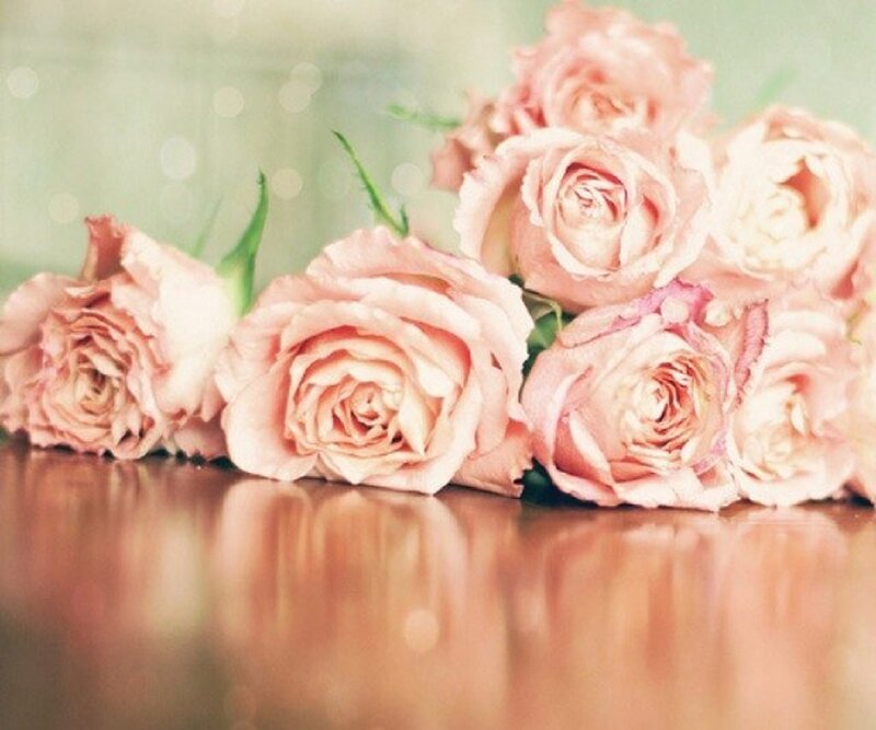 Pink Roses on Table — Serene, Photograph