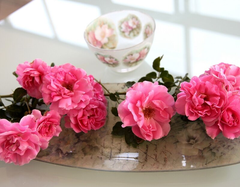 Pink Roses on Tray — Serene