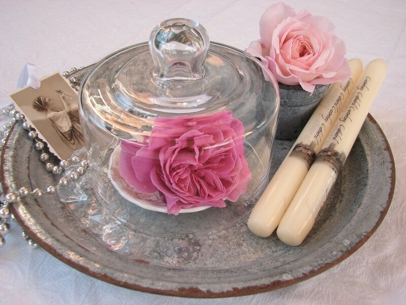 Pink Roses on Tray