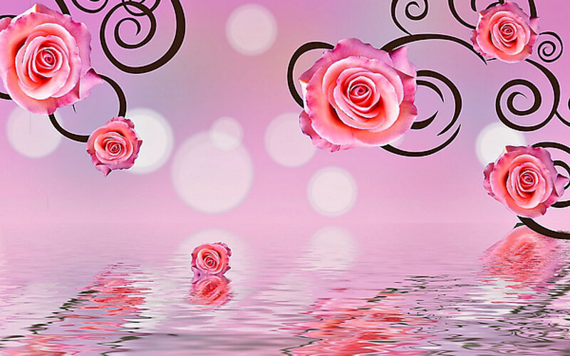 Pink Roses on Water — Serene